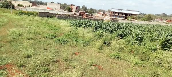 Open land field