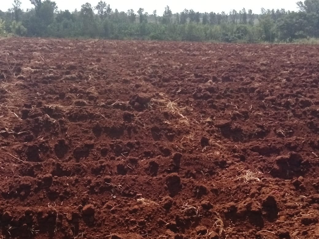 65-acres-of-fertile-land-for-sale-in-karwigi-embu