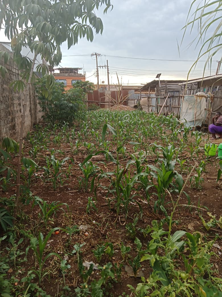 50100-prime-commercial-plot-for-sale-in-kutus-town